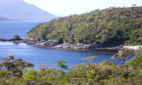 Organizaciones se unen para frenar expansión salmonera en Reserva Nacional Las Guaitecas