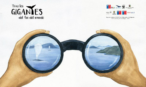 Libro infantil invita a conocer las grandes ballenas del sur de Chile