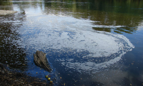 Medio Ambiente constatará en terreno nueva descarga en estero