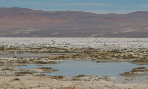 SQM denuncia a Grupo Errázuriz de extracción ilegal de aguas en el Salar de Llamara