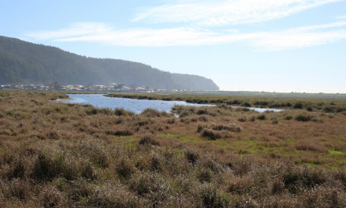 Autoridades critican realización de REC en la Playa por contravenir normativa ambiental