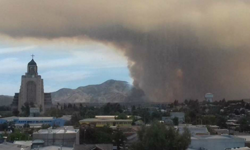 Flora y fauna destruida por incendio forestal en Maipú tardaría 50 años en ser recuperada