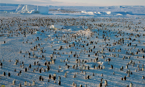 Llegan a un acuerdo para crear la mayor reserva marítima del mundo en la Antártida
