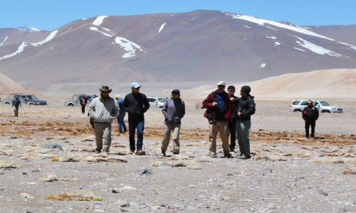 Tribunal Ambiental llevó a cabo visita a humedales presuntamente afectados por minera en la región de Atacama