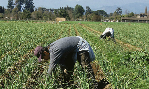 Unión Europea y Chile alcanzan inédito acuerdo para comercio de productos orgánicos