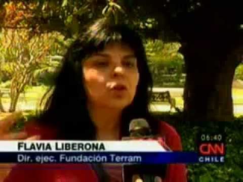 CNN ley medio ambiente entrevista Flavia Liberona