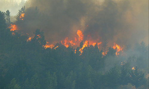 San Antonio al rojo vivo por incendios forestales que amenazan a la población