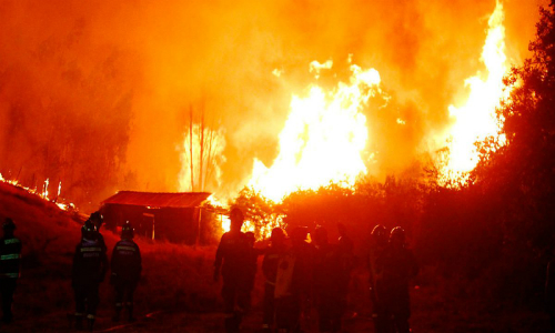 Incendios forestales se propagan con una fuerza inusitada hacia Biobío y La Araucanía