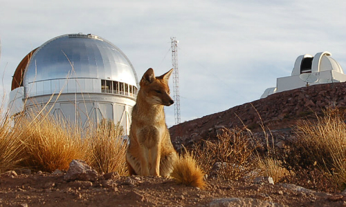 Conmemorarán Hora del Planeta con observación astronómica en La Serena