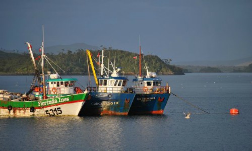 Tomas de pescadores en distintos puntos de Melinka complica a salmonicultores