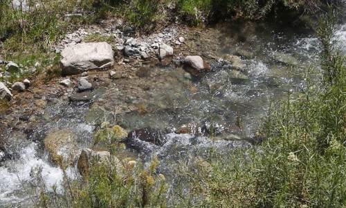 Posible daño a Yerba Loca impulsa querellas contra responsables de derrame de parafina