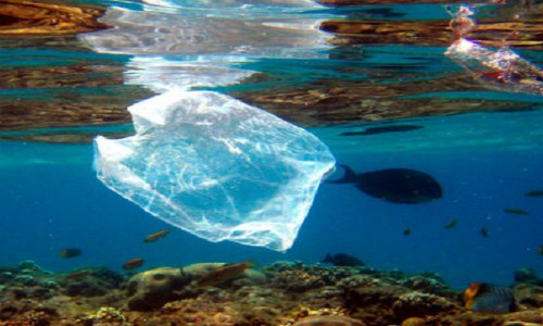 Bachelet firma ley que elimina las bolsas plásticas en la costa