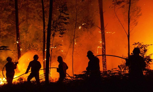 Más de 60 muertos y 62 heridos en un incendio forestal en Portugal