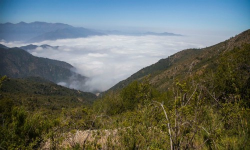 Vecinos en pie de guerra por termoeléctrica que se ubicará en reserva de la biósfera