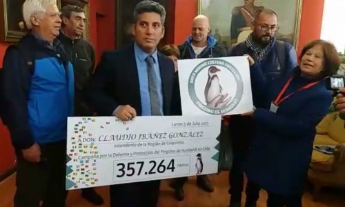 Entregan más de 357 mil firmas a Intendente pidiendo la creación del Área Marina Costera Protegida “Pingüino de Humboldt”