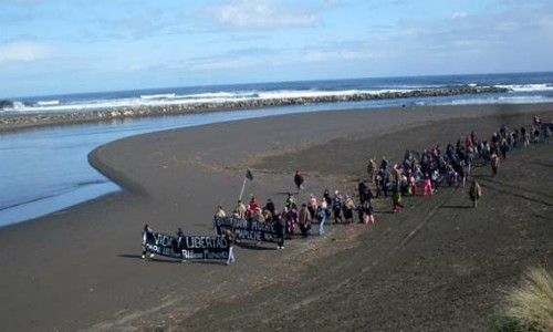 “A la medida de las salmoneras”: Pueblos originarios recusan proyecto de Fidel Espinoza que busca modificar Ley Lafkenche