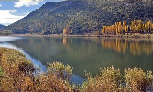 Lonquimay tendrá el primer santuario de la naturaleza