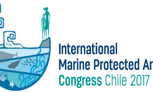 IMPAC 4: el Congreso Internacional de Áreas Marinas Protegidas que reúne en torno a la conservación