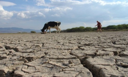 La desertificación en Chile avanza un metro por día