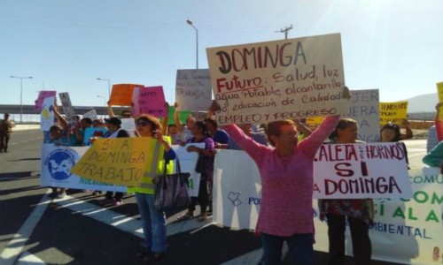 Vecinos de La Higuera se manifestaron para entregar respaldo a proyecto Dominga