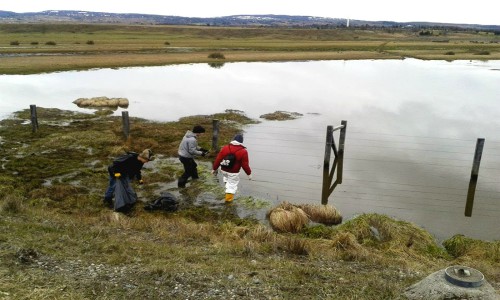 Urge una legislación para la protección de Reservas Naturales Urbanas