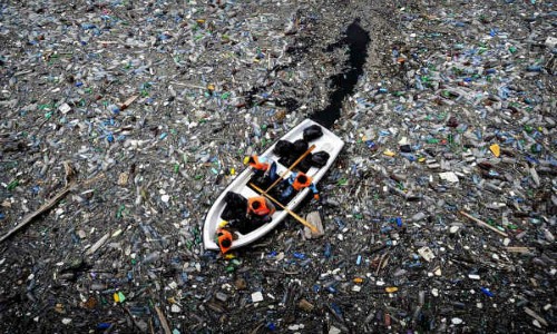 Experto advierte que los efectos de la contaminación por plástico en el mar