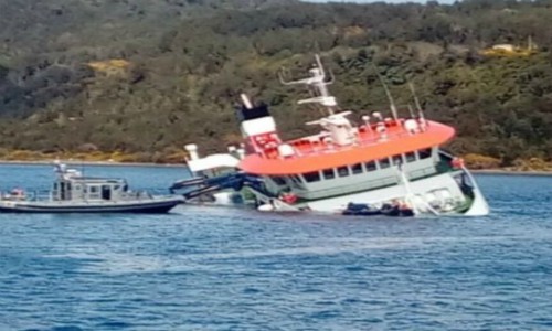 Inician faena para el retiro de peces desde barco hundido frente a Chiloé