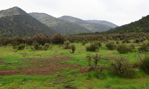 Inauguran nuevo Santuario de la Naturaleza en Quebrada de La Plata