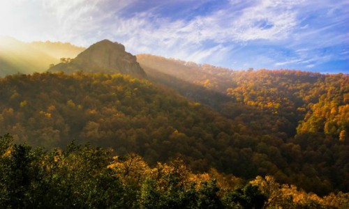 Consejo de Ministros aprueba creación de Santuario de la Naturaleza Cerro Poqui en O’Higgins