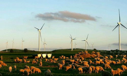 Contraloría aprueba uso de recursos FNDR en proyecto eólico de Enap y desestima denuncia de cores