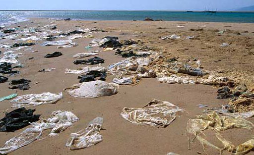 Comisión de Medio Ambiente del Senado aprueba Ley de bolsas plásticas