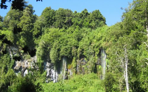 Destrucción de bosque nativo y humedales acentúa escasez de agua que afecta hace 5 años a Chiloé