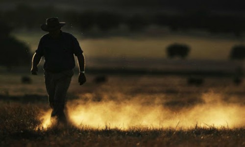 Mientras el frío azota a América del Norte, en Sídney, Australia, la temperatura llegó a 47,3 grados