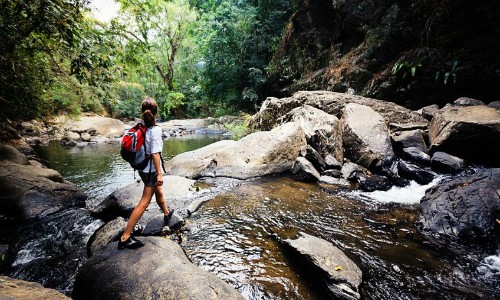 Boletín Ambiental Terram vuelve el 1° de marzo