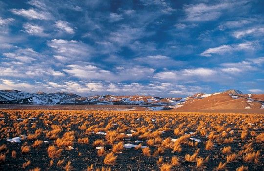 Comunidades: estudios presentados por mineras sobre acuíferos de Atacama”no dan garantías”