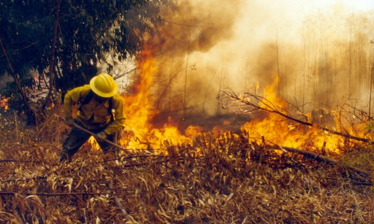Incendios forestales mantienen alerta roja en Valparaíso, Villa Alemana y Quilpué