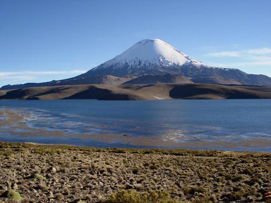 Trucha arcoíris amenaza con extinguir a una especie de pez que solo vive en el Lago Chungará