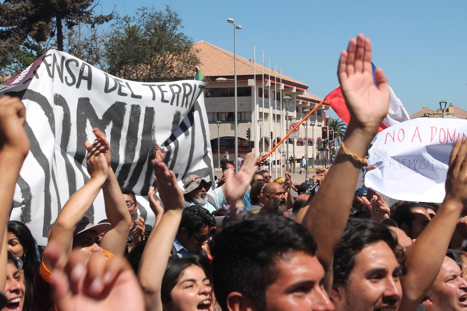 Andes Iron cuestiona recurso de casación contra Dominga y pide que se declare inadmisible