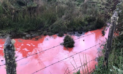 Equipos de emergencia trabajan en contención de pintura que cayó a río Trainel de Chiloé