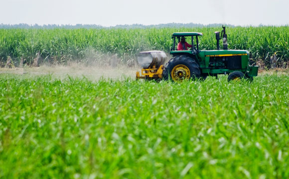 Industria agroalimentaria realiza ofensiva política para evitar pagar impuestos verdes