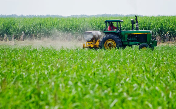 FAO crea alianza para la resiliencia de agricultores latinoamericanos al cambio climático