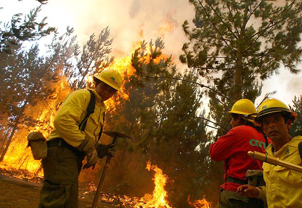 Profesionales de Conaf rechazan proyecto de ley que crea el Servicio Nacional Forestal