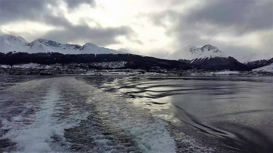 Autorizan cultivo de salmones en la costa argentina
