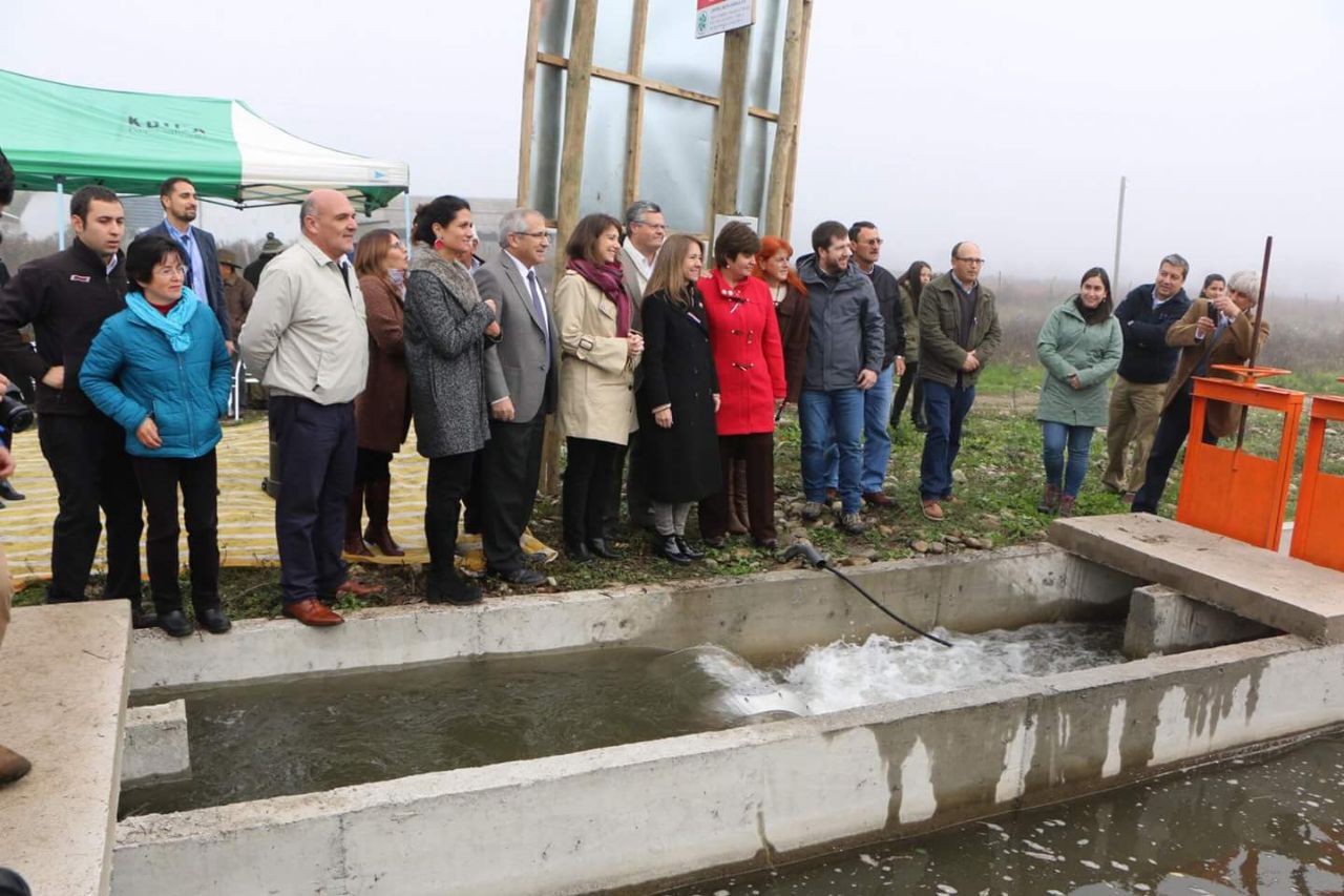 Linares: Ministros de Energía y Agricultura inauguran primeras obras de riego que incorporan microcentrales hidroeléctricas