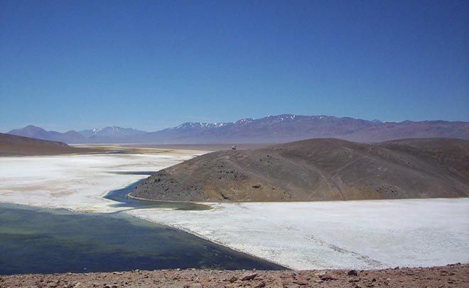 Codelco gana disputa ante el TC por extracción de litio en Maricunga