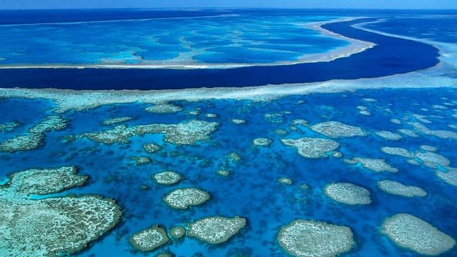 Arrecifes de Belice son retirados de lista del patrimonio en peligro de la UNESCO