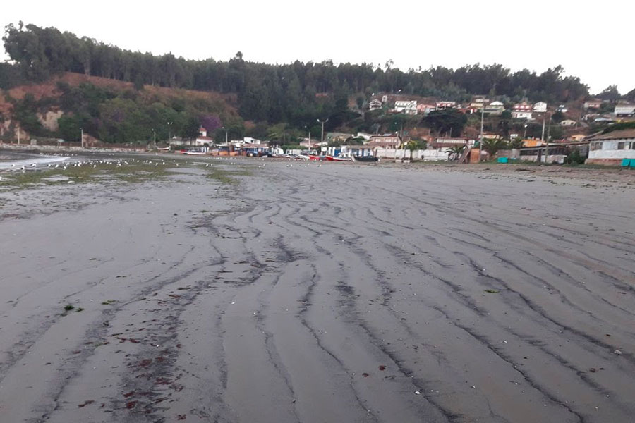 La Armada resuelve que AES Gener es responsable de los vertimientos de carbón al mar en Puchuncaví