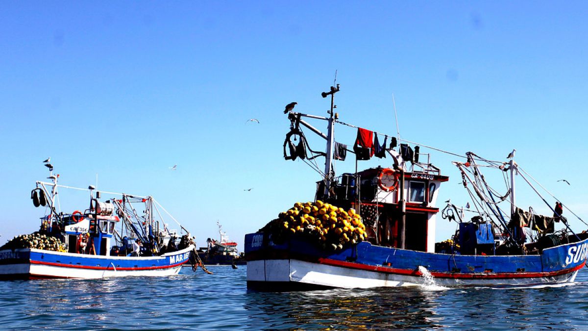 Ley de pesca: diputados definen esquema de trabajo y comisión pretende votar la iniciativa en general en marzo