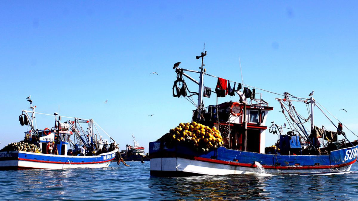 Adaptación al cambio climático y redefinición de cuotas son algunas oportunidades de la Ley de Pesca planteadas por la FAO