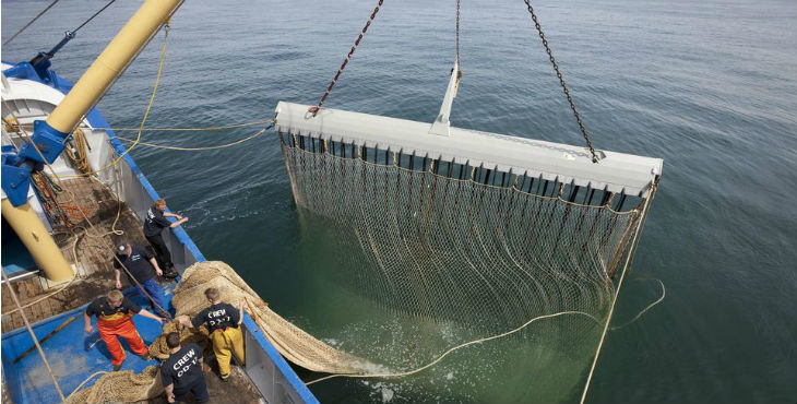 Hoy: pescadores y ambientalistas se movilizan en Europa en contra de la pesca eléctrica